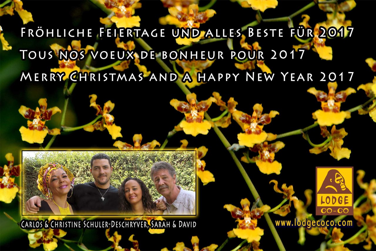 Lodgecoco happy new year 2017
